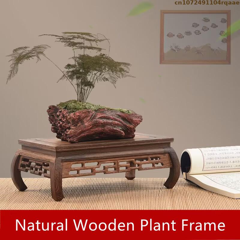 قسط قواعد خشبية بونساي حامل ال - مراجعة Coffee Tea For Plants وسعره